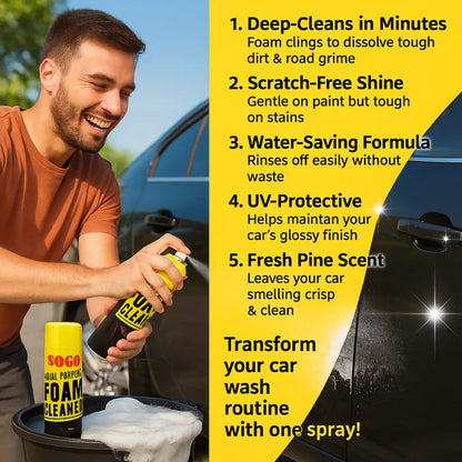 SOGO Multi-Purpose Foam Cleaner – Fabric, Carpet & Leather Cleaning Spray | Car & Home Upholstery Foam Cleaner